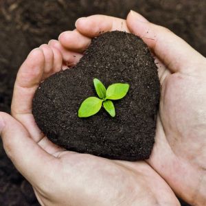 Ecología